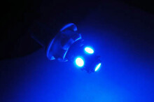 Żarówka LED T10 - Trzonek W5W - Niebieska