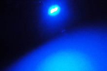 Żarówki LED Niebieska - W1.2W - T5