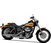 LED i zestawy Xenon HID do Harley-Davidson Low Rider 1450
