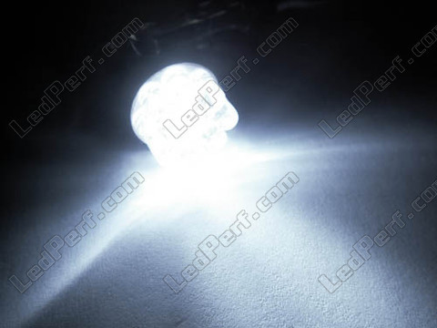 żarówka LED R5W R10W xenon Biały