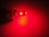 żarówka LED H6W Xtrem BAX9S czerwony efekt xenon