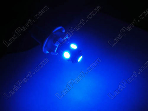 żarówka LED H6W Xtrem BAX9S niebieska efekt xenon