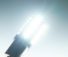 Oświetlenie żarówka P21W LED (BA15S) Ultimate o wysokiej wydajności