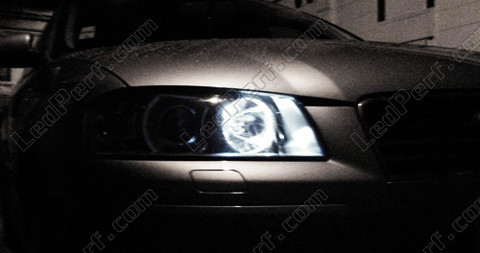 Światła postojowe LED Audi A3 z LED zabezpieczonymi przed błędem OBD xenon