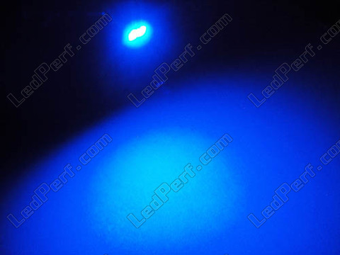 LED T5 Efficacity W1.2W z 2 diodami Niebieskie