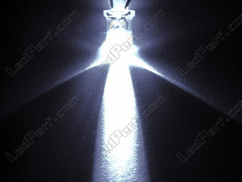 Żarówka LED z kablem 12v biała