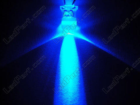 Żarówka LED z kablem 12v niebieska