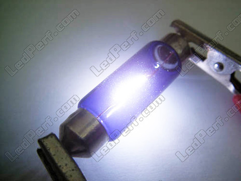 żarówka 31mm C5W Halogen Blue vision Xenon effect LED