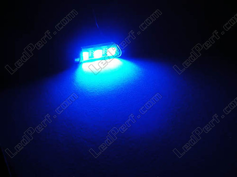 żarówka LED 37mm C5W Bez błędu OBD - Zabezpieczenie przed błędem OBD Niebieski