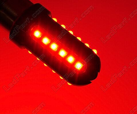 Pakiet żarówek LED do świateł tylnych / świateł stop Aprilia Caponord 1000 ETV