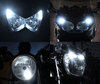LED światła postojowe xenon biały Triumph Bonneville T100 Tuning