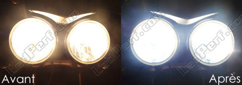 LED Reflektory Xenon effect Triumph Street Triple Speed Triple