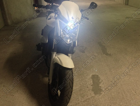LED światła postojowe xenon biały Yamaha XJ6
