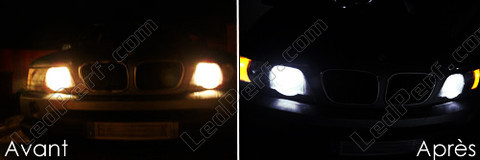 LED światła postojowe xenon biały BMW X5 (E53)