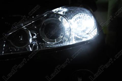 LED światła postojowe xenon biały Citroen C Crosser