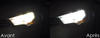 LED Światła drogowe Citroen C4 II