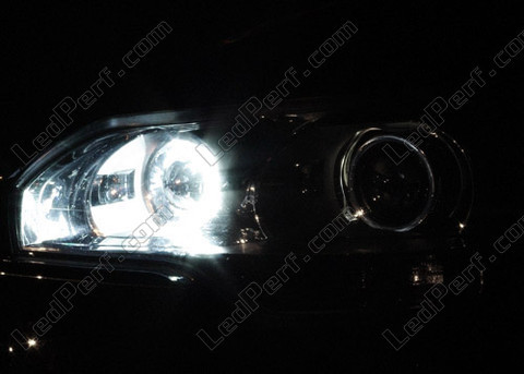 LED światła postojowe xenon biały Citroen C5 II