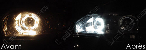 LED światła postojowe xenon biały Citroen C5 II