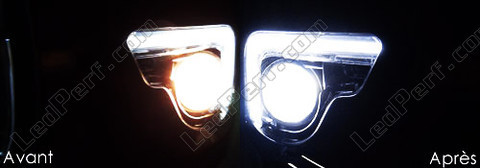 LED światła przeciwmgielne xenon biały Citroen DS4 -