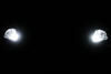 LED światła postojowe xenon biały Citroen Xsara Picasso
