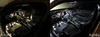 LED pojazdu Ford Focus MK2