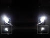 LED światła przeciwmgielne xenon biały Ford Focus MK2 -
