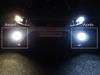 LED światła przeciwmgielne xenon biały Ford Focus MK2 -
