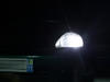 LED światła postojowe xenon biały Honda Civic 6G