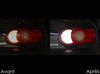 LED Światła cofania Mazda MX 5 Faza 2 przed i po