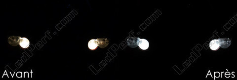 LED świateł postojowych Mercedes CLK (W209)