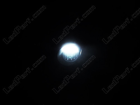 LED światła postojowe xenon biały Mini Clubman (R55)