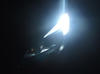 LED światła do jazdy dziennej - dzienne Opel Corsa E Tuning