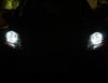 LED światła postojowe xenon biały Peugeot 107
