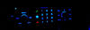 LED niebieski radio samochodowe RT3 Peugeot 206 (>10/2002) multipleksowana