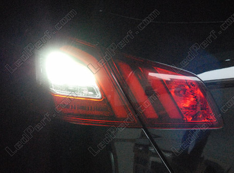 LED Światła cofania Peugeot 308 II