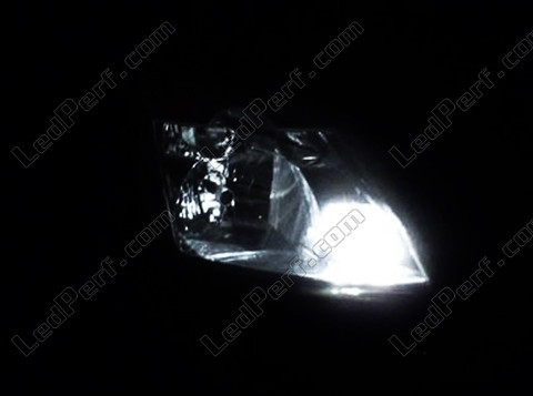 LED światła postojowe xenon biały Renault Modus