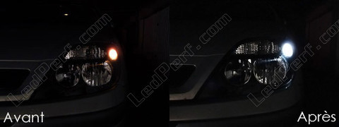 LED światła postojowe xenon biały Renault Scenic 1