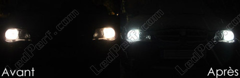 LED światła postojowe xenon biały Rover 25