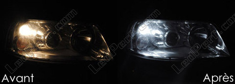 LED światła postojowe xenon biały Seat Alhambra 7MS 2001-2010