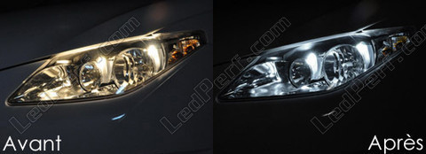 LED światła postojowe xenon biały Seat Ibiza 6J