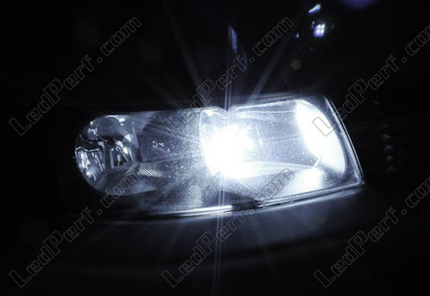 LED światła postojowe xenon biały Seat Leon 1 (1M)