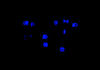 LED regulacji reflektora niebieski Skoda Fabia