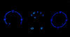 LED wentylacja klim niebieski Skoda Fabia