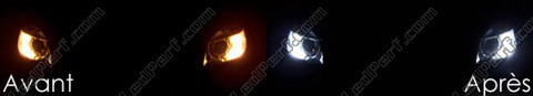 LED światła postojowe xenon biały Skoda Fabia 2