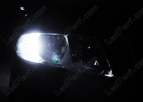 LED światła postojowe xenon biały Skoda Octavia 2