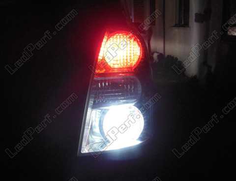 LED Światła cofania Toyota Corolla Verso
