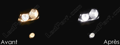 LED światła przeciwmgielne Volkswagen Amarok