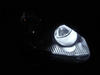 LED światła postojowe xenon biały Volkswagen Golf 5