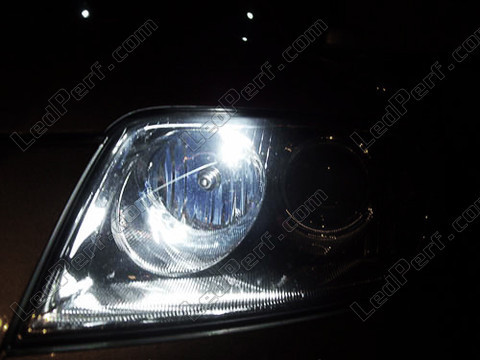 LED światła postojowe xenon biały Volkswagen Passat B5