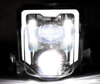 Reflektor LED do Husqvarna FE 501 / 501s (2020 - 2023)